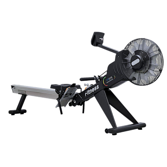 Commercial Air Rower
