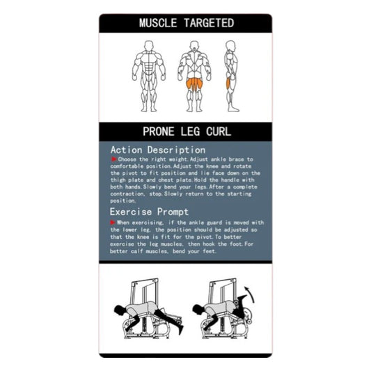 Prone Leg Curl