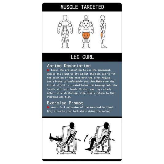 Seated Leg Curl