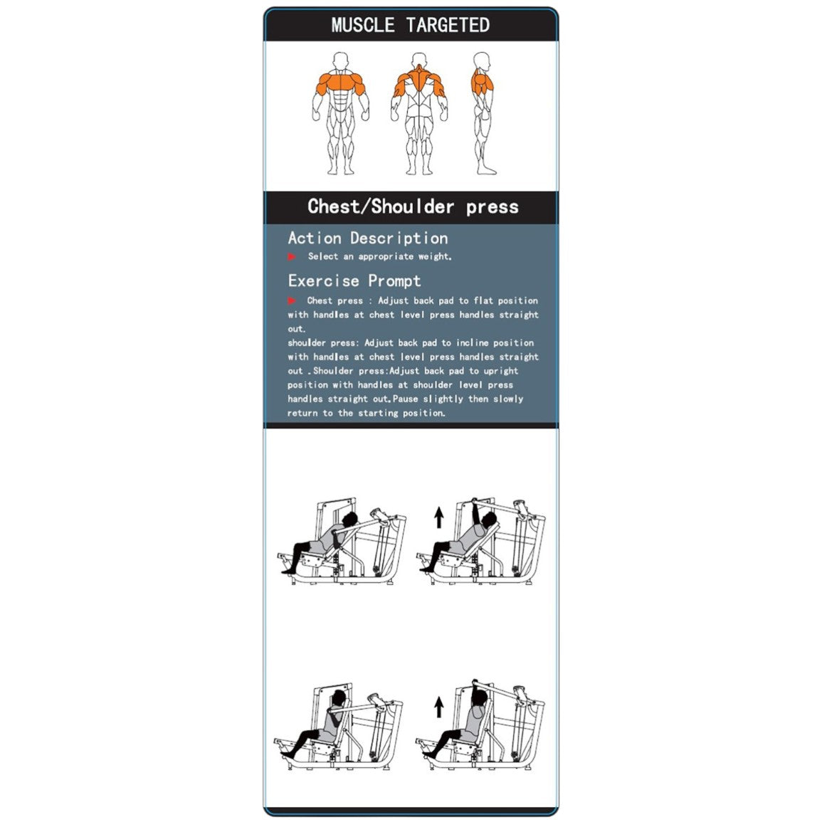 Chest & Shoulder Press
