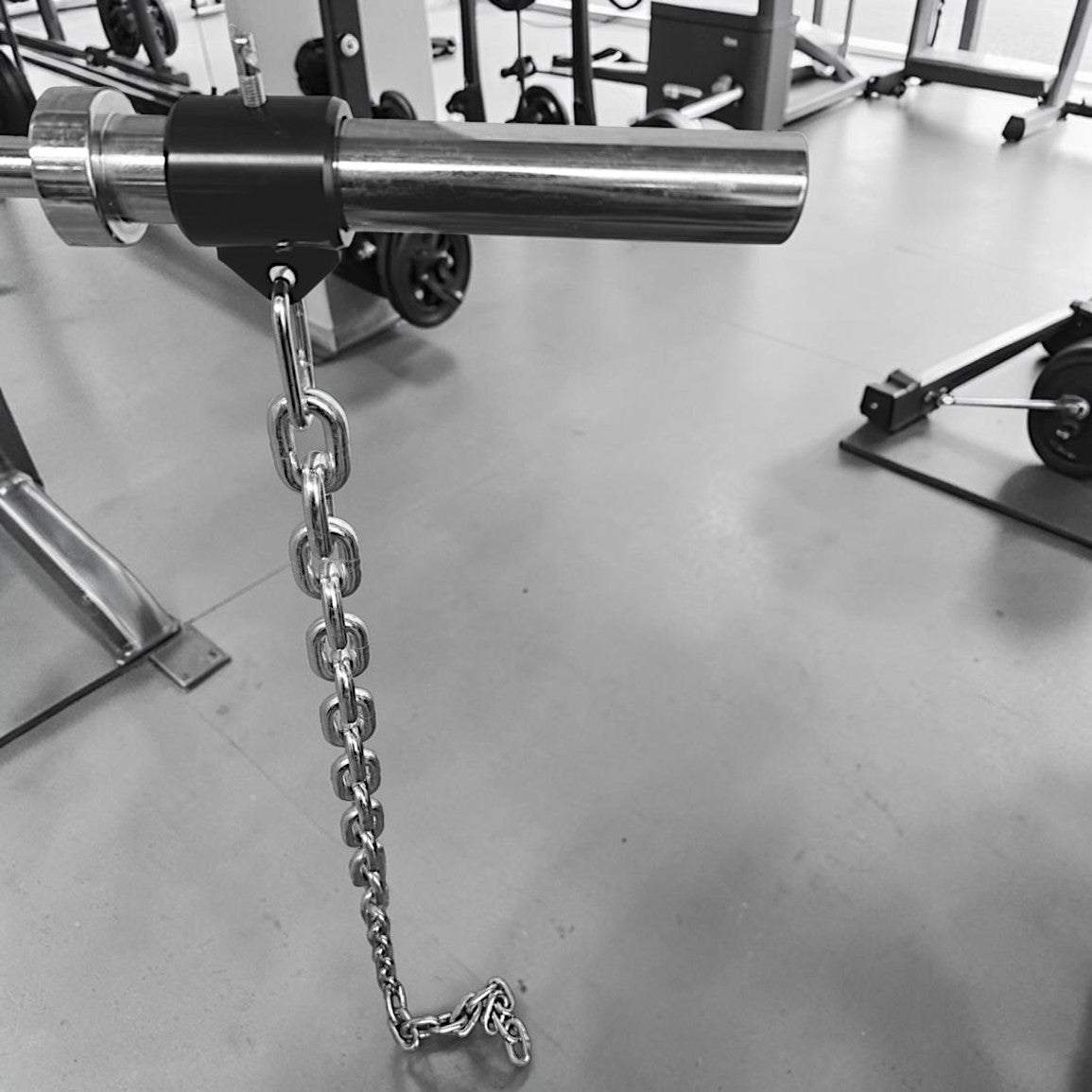 Lifting Chain