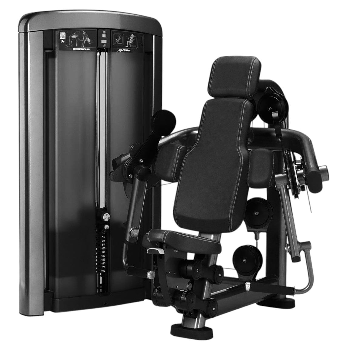 Biceps Curl Machine