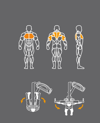 Pearl Delr/Pec Fly Machine