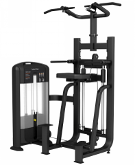 Assisted Dip/Chin Machine