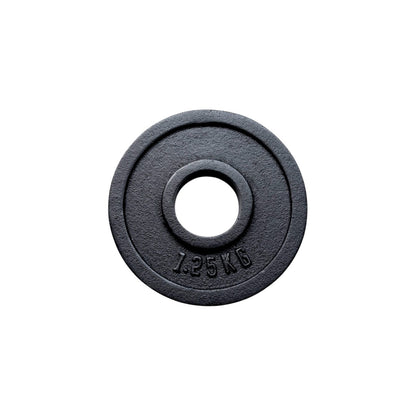 Cast Iron Olympic Dual-Grip Plate