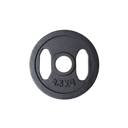 Cast Iron Olympic Dual-Grip Plate