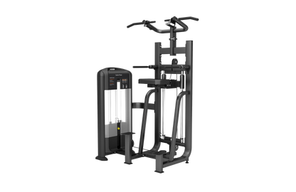 Dip/Chin Machine