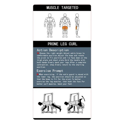 Prone Leg Curl