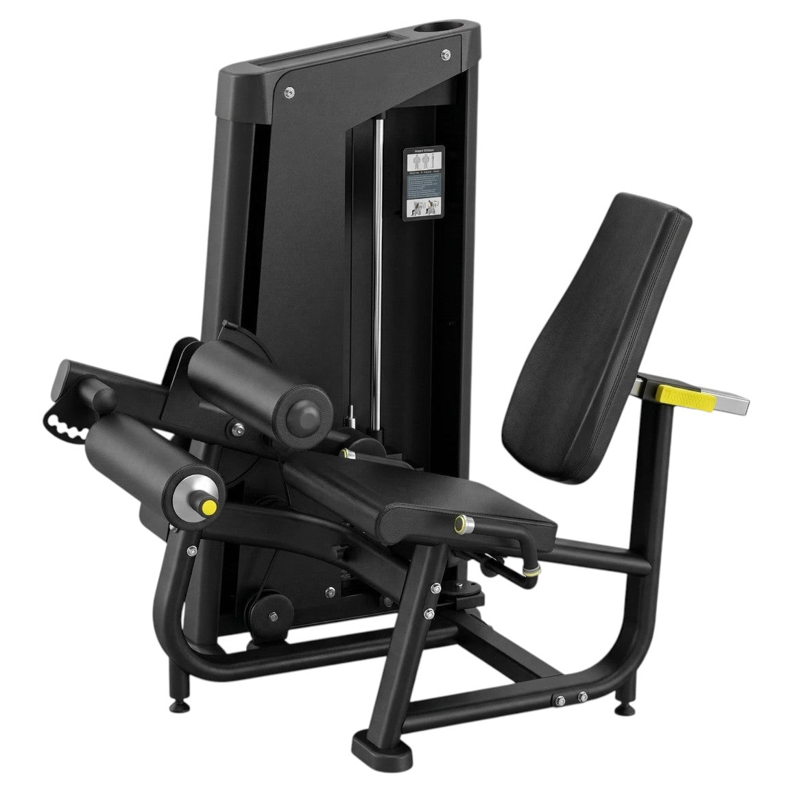 Seated Leg Curl