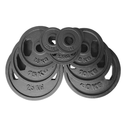 Cast Iron Olympic Dual-Grip Plate