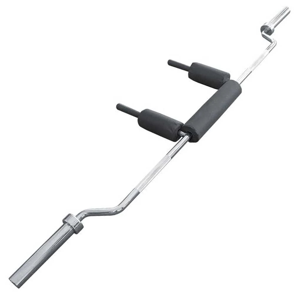 Squat Safety Bar