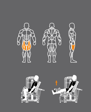 Leg Extension Machine