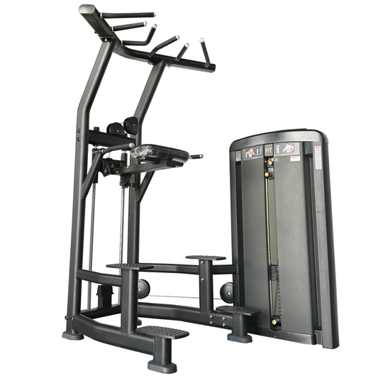 Pull-Up & Dip Station
