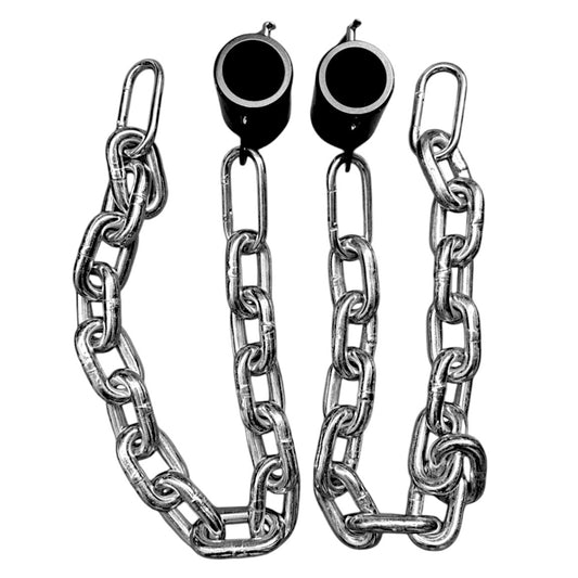 Lifting Chain