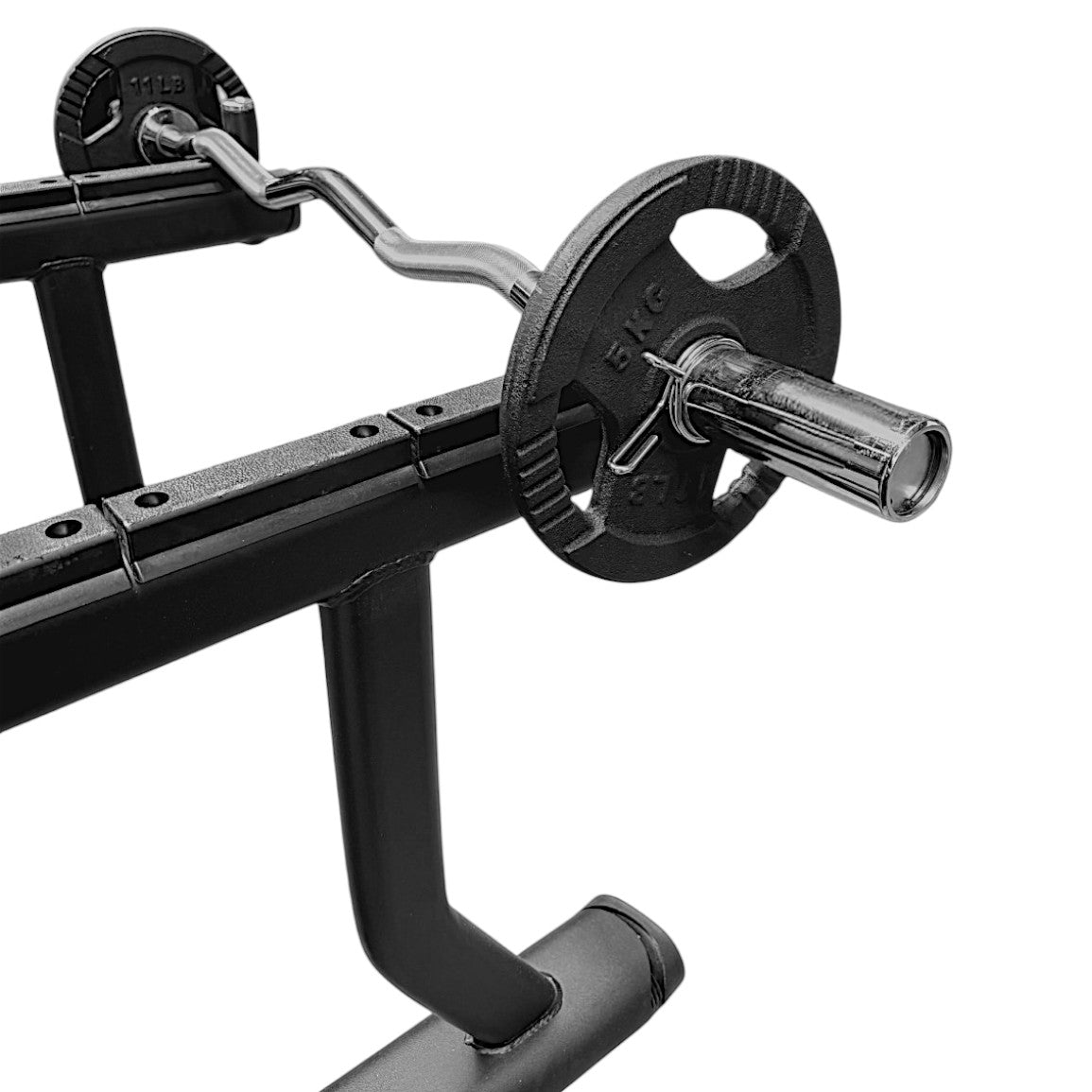 Preacher Curl