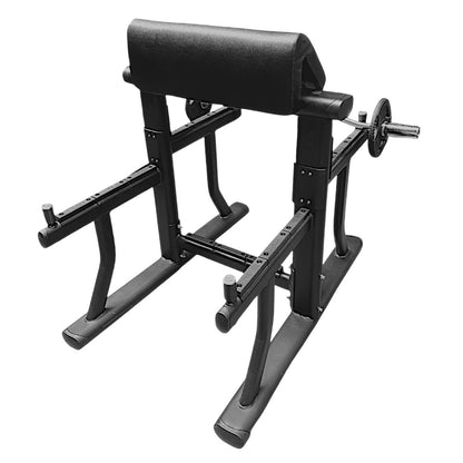 Preacher Curl