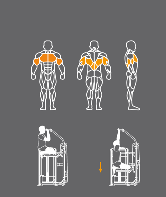 Assisted Dip/Chin Machine